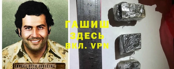 гидра Вяземский